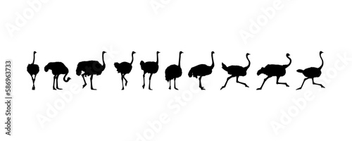 Flock of the Ostrich Silhouette for Logo, Pictogram, Art Illustration or Graphic Design Element. Vector Illustration