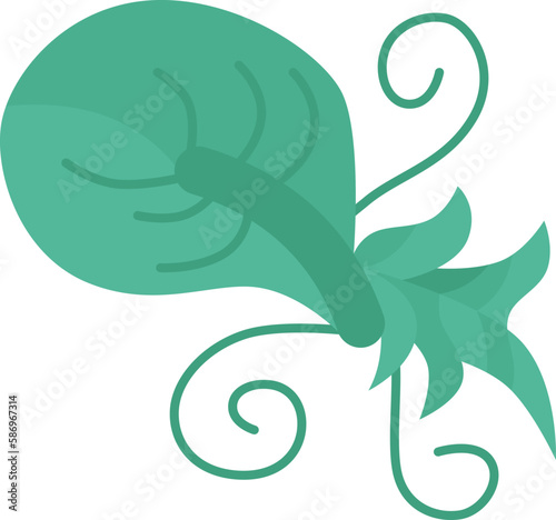 lettuce  icon