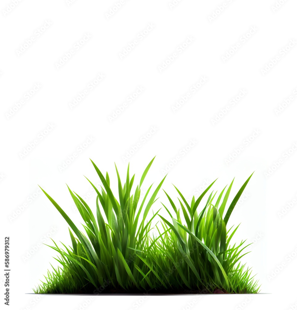 Obraz premium Green grass on the white background, created with generative AI