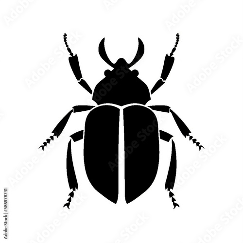 Beetle Illustration