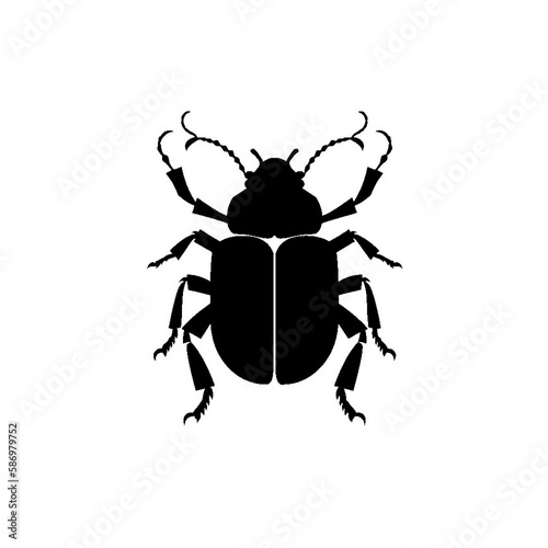 Beetle Illustration © Ama