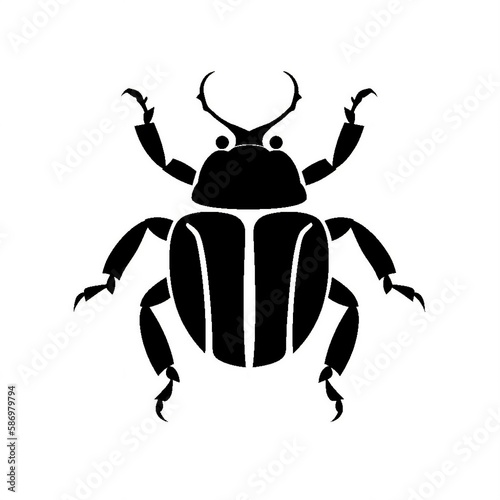 Beetle Illustration © Ama