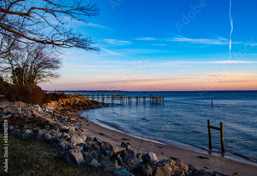Winter dawn, Chesapeake Bay shoreline 