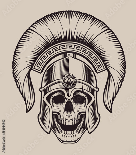 Vector illustration skull spartan in helmet