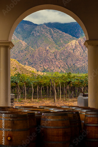 Beautiful view of the Cafayate valley, vineyards and wooden barrels.