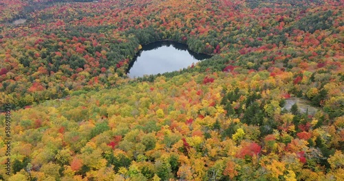 A road slices through the colorful autumn landscape along Panther Pond near Panther Mountain Bog in Adirondack Park in Upstate New York. photo