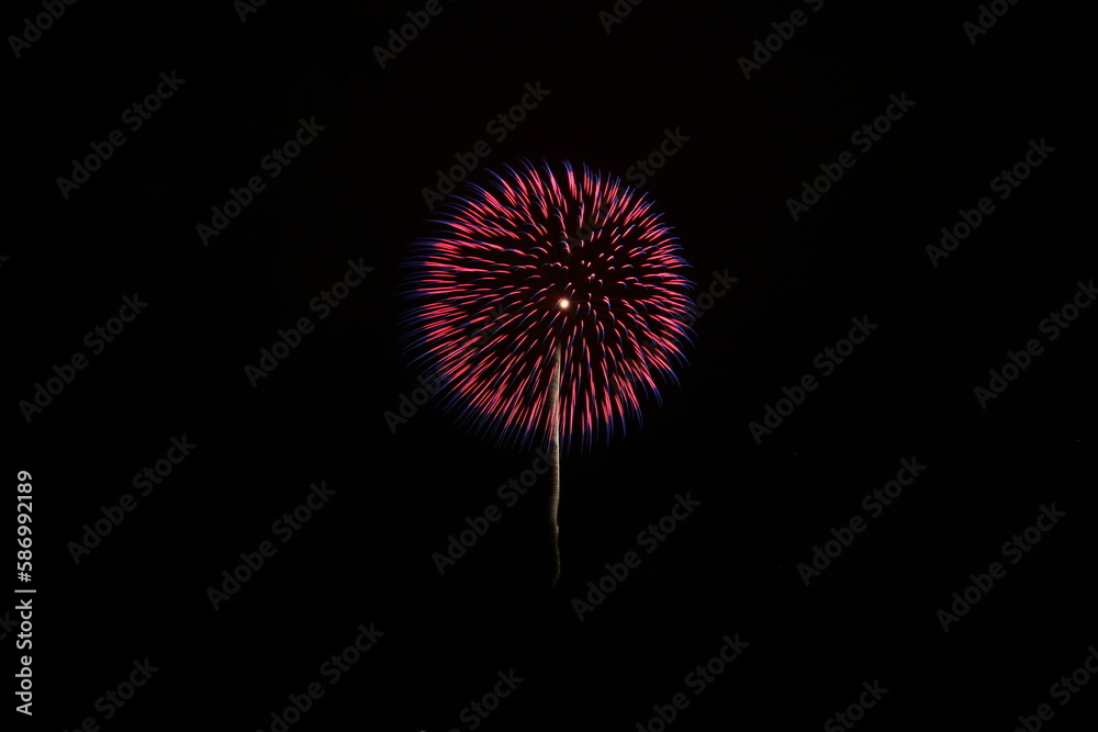 Fototapeta premium 片貝まつりの花火