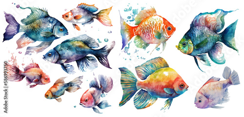 Watercolor fish. Fresh organic seafood. Nature drawing - Vector illustration.