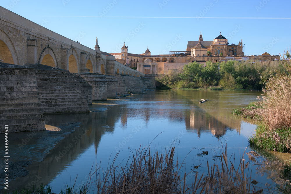General view of the cathedral-mosque of Cordoba and the Roman bridge