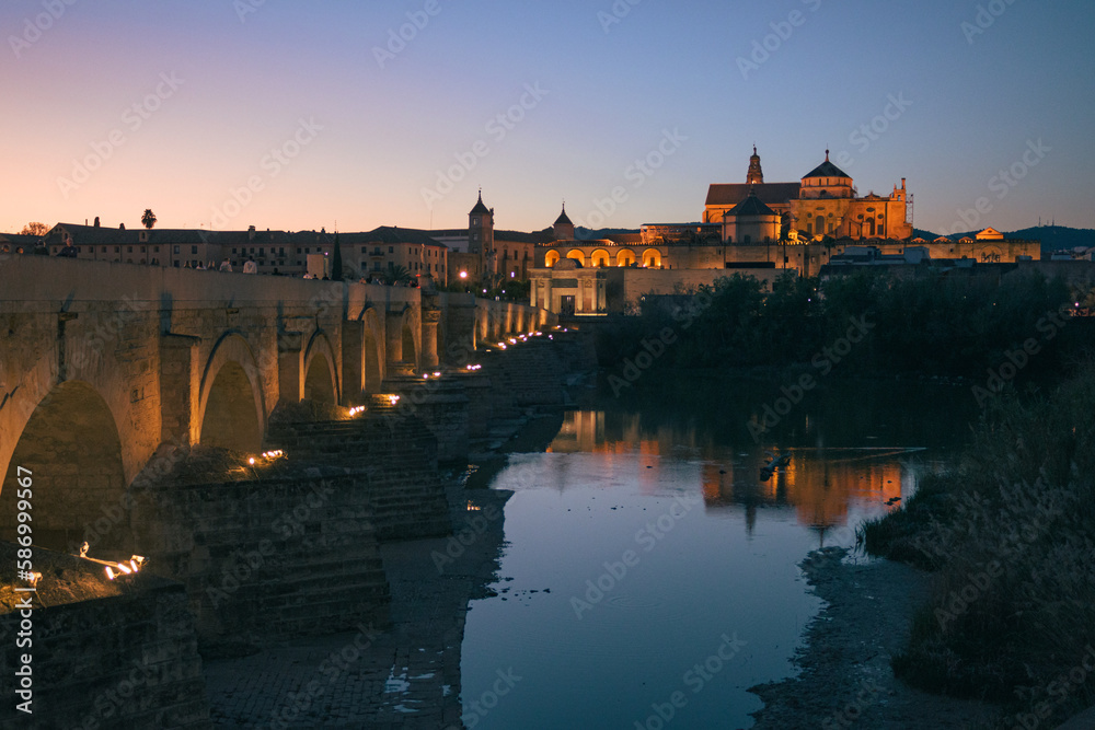 General view of the cathedral-mosque of Cordoba and the Roman bridge at night