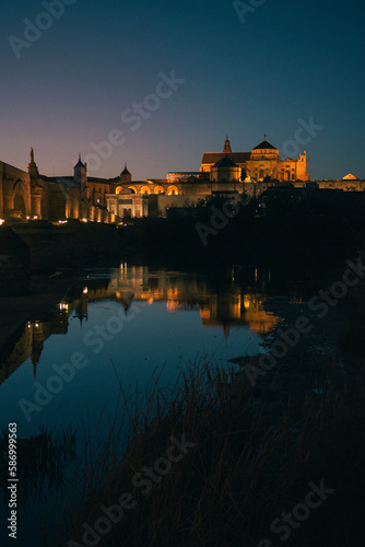 General view of the cathedral-mosque of Cordoba and the Roman bridge at night