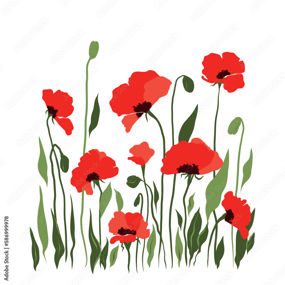 Vector flat illustration of a hand-drawn cute summer meadow with flowers with red poppies. Isolated on a white background.