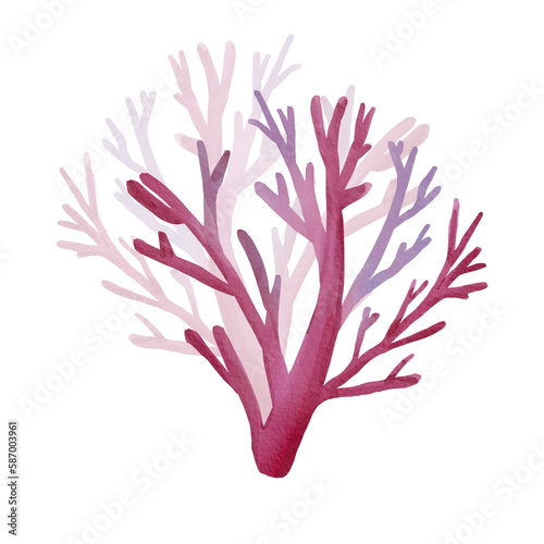 Pink underwater coral isolated on white background. Watercolor illustration of marine plants. Tree-like coral. Cartoon style. Suitable for postcards, design, posters, packaging, clothing