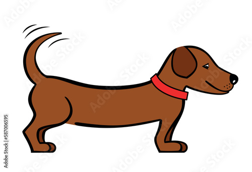 Pies rasy jamnik. Mały, brązowy piesek o długim tułowiu. Zabawny piesek,prosty rysunek wektorowy, kolorowa ilustracja. Jamnik w czerwonej obroży, pies machający ogonem