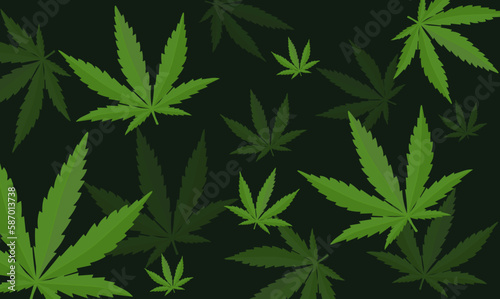 Seamless pattern with cannabis leaves. Cannabis  sativa  indica marijuana. Vector Illustration background