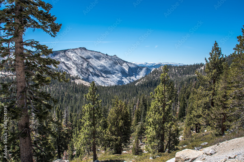 Tioga Pass Tuolumne Meadows Granite Rock Tioga Pass Tuolumne Meadows Granite Rock