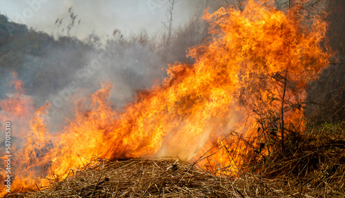 Forest burning for agriculture in Thailand. Wildfires . Wildfires cause global warming.