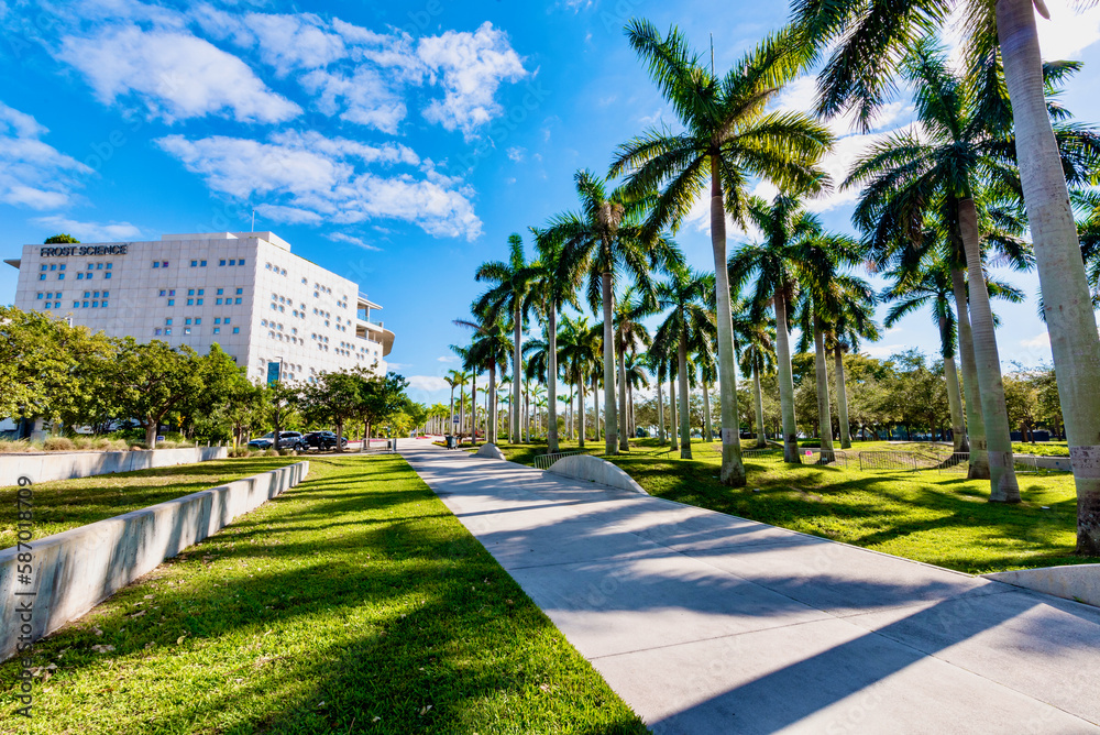 view of Miami city in Florida USA