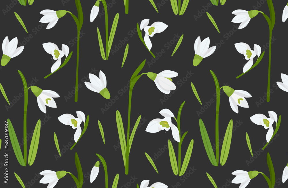Snowdrops black eamless pattern. Floral print with galanthus plants. Botanical background, textile, fabric, wrapping Snowdrops black eamless pattern. Floral print with galanthus plants. Botanical background, textile, fabric, wrapping