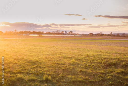 The field is flooded with the light