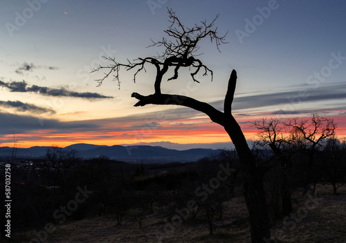 Sunset in the mountains with colorful sky and a single tree silhouette