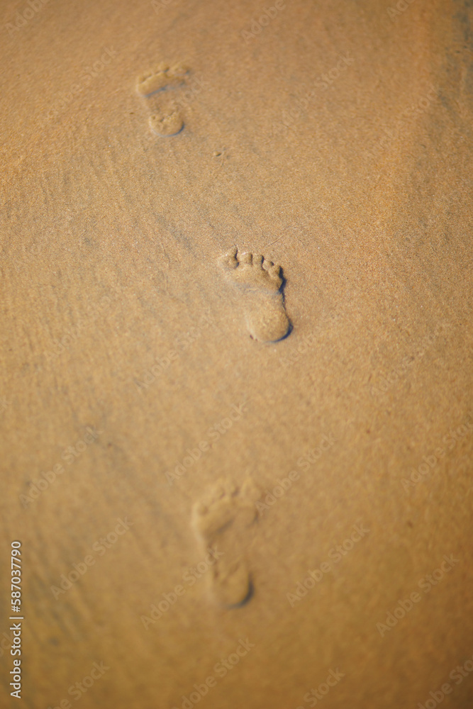 Child footprints in the sand on a beach Child footprints in the sand on a beach