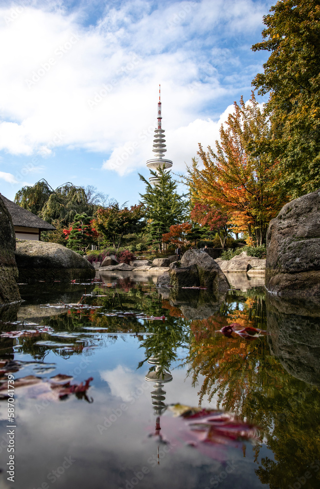 autumn in the park with tv tower