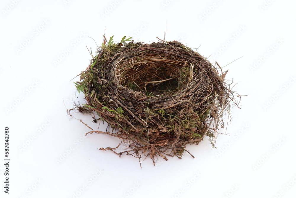 Obraz premium Vogelnest auf weißem Hintergrund.