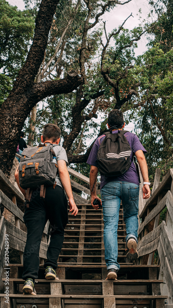 two friends climbing a wooden staircase. two young men hiking. two men with backpacks in nature two friends climbing a wooden staircase. two young men hiking. two men with backpacks in nature