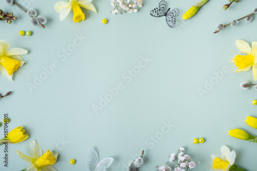 Spring flowers flat lay frame composition on colored background with copy space. Daffodils and willow with butterfly top view top view
