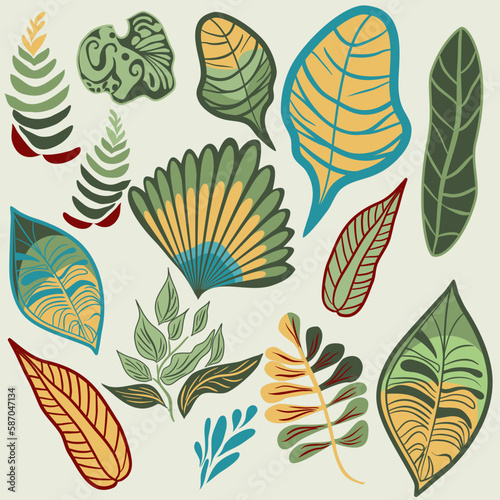 Set of tropical plants and leaves in flat technique vector illustration 