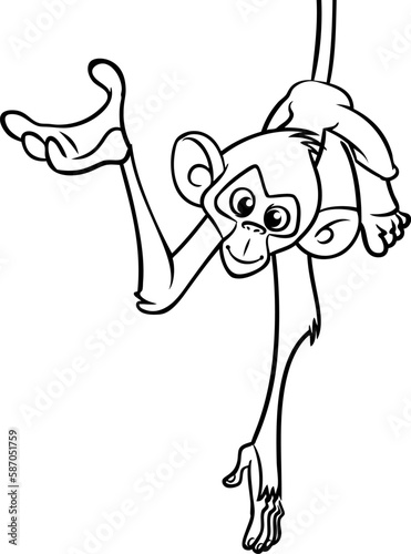 Cartoon funny monkey chimpanzee hanging upside down on a tree branch outlined. Vector illustration of happy monkey character for coloring book. Black and white contours animal