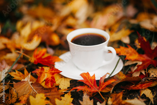 Cup of coffee on autumn leaves