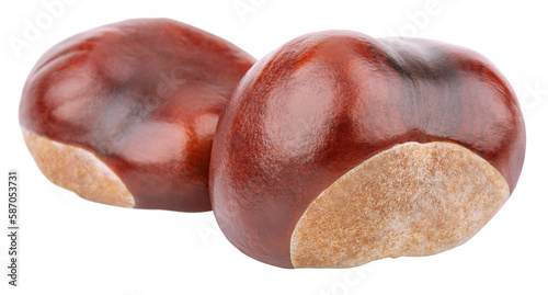 Foto Two chestnuts isolated on transparent background