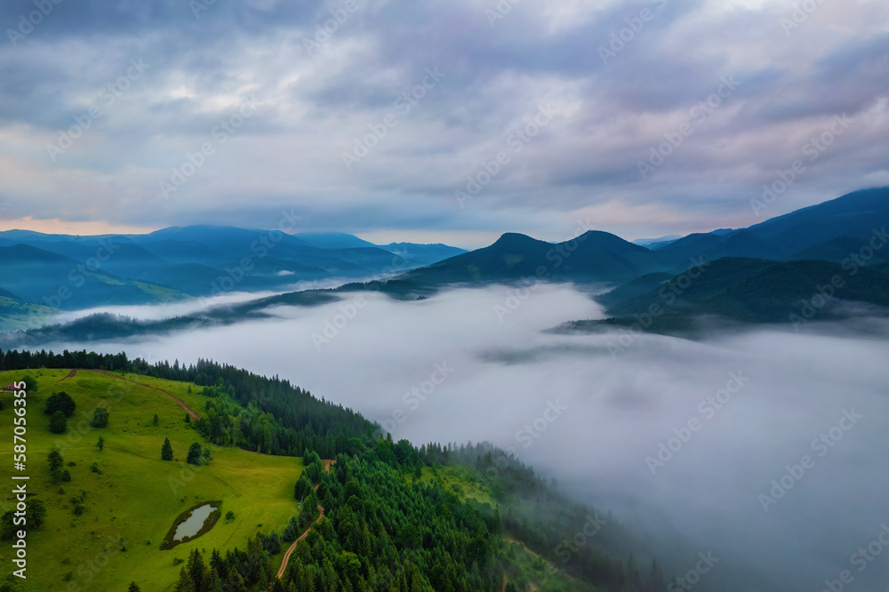 Idyllic landscape in the Alps with fresh green meadows and blooming flowers