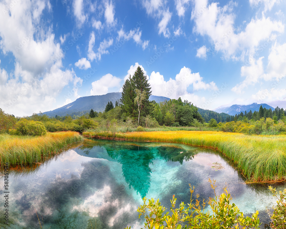 Amazing summer view on Zelenci lake with beautiful reflections in water. Amazing summer view on Zelenci lake with beautiful reflections in water.