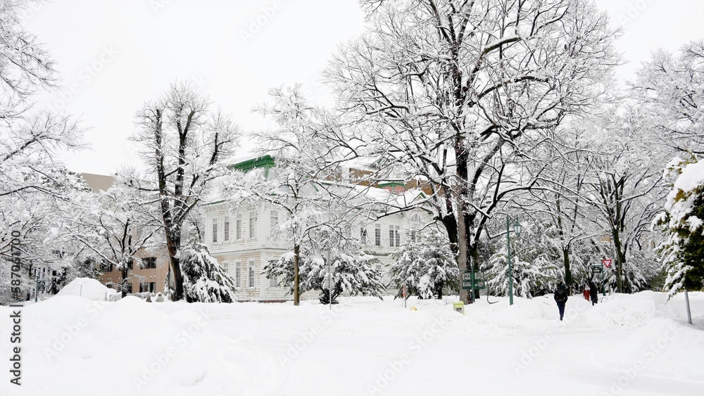 Naklejka premium 古河講堂(北海道大学 DSC24931)