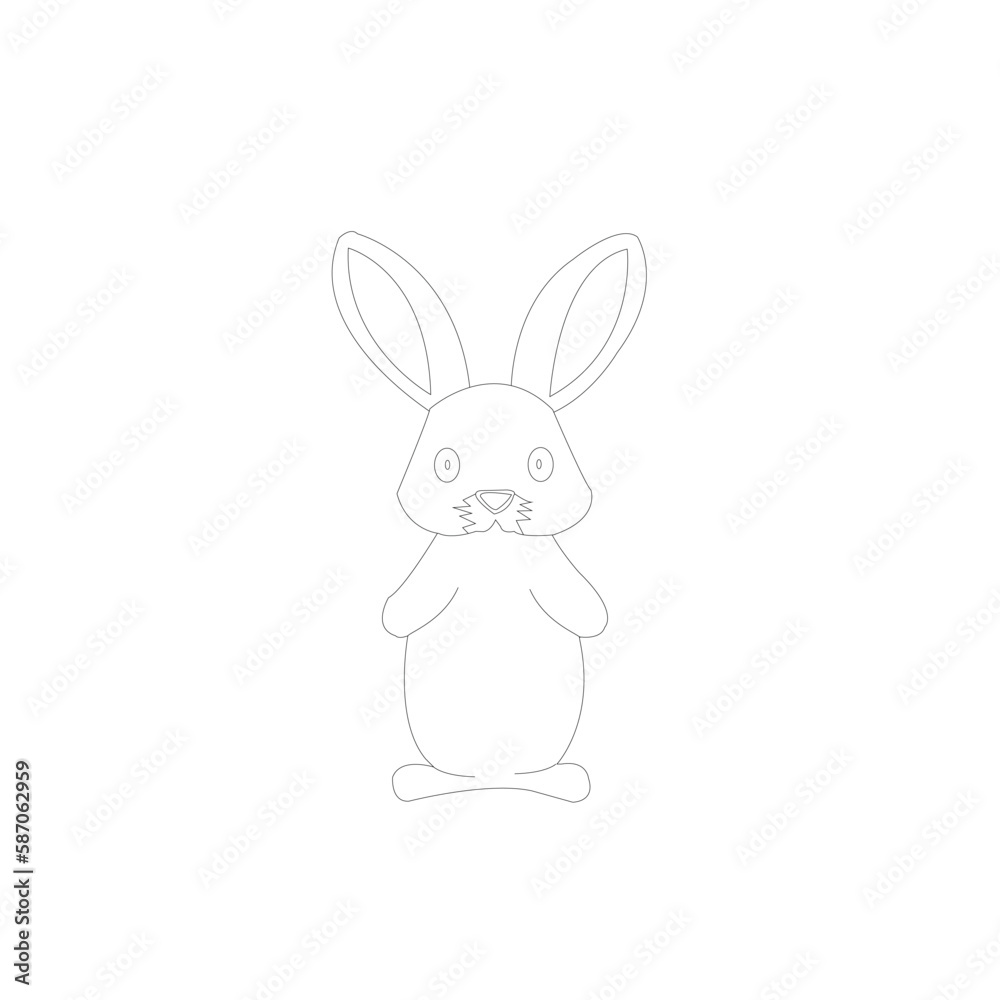 white rabbit isolated on white white rabbit isolated on white