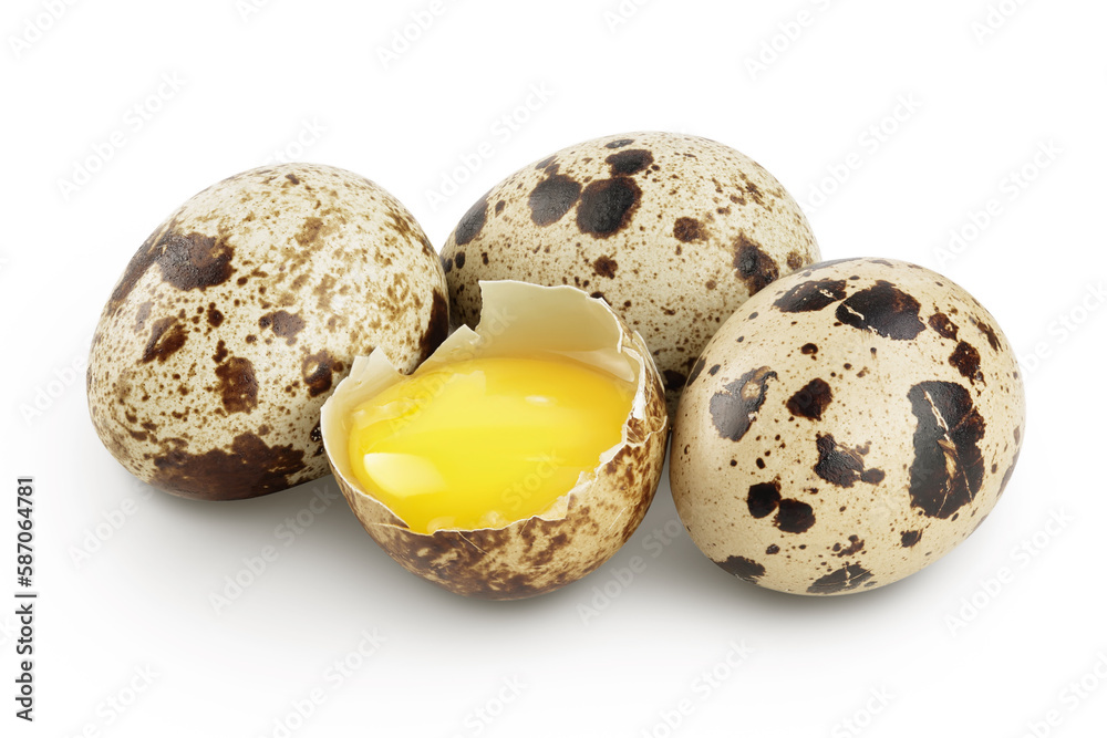 Obraz premium Raw quail egg isolated on white background with full depth of field