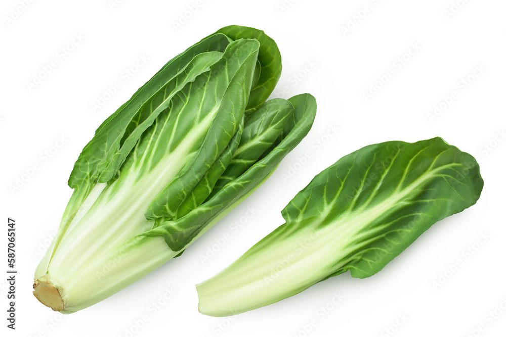 Organic fresh chard plant isolated on white background with full depth of field. Top view. Flat lay Organic fresh chard plant isolated on white background with full depth of field. Top view. Flat lay