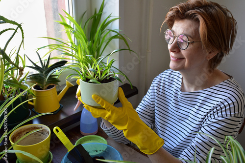 Woman, 50-55 years old, sitting at the table at home, transplanting indoor plants. Favorite hobby, home life, lifestyle.