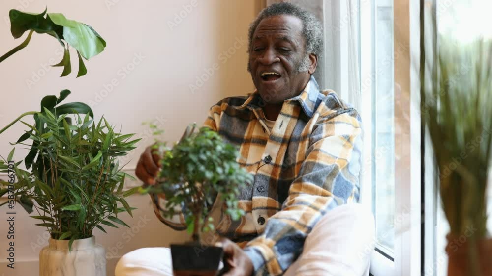 An African senior man taking care of his houseplant at home. An African senior man taking care of his houseplant at home.