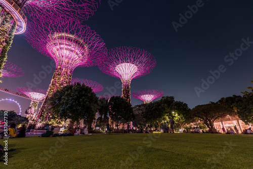 Supertrees Grove at Gardens by the Bay