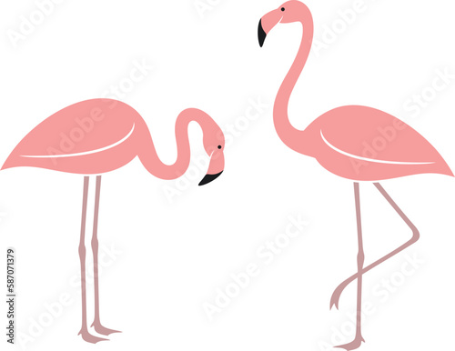 Flamingo logo. Isolated flamingo on white background