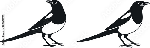 Magpie logo. Isolated magpie on white background