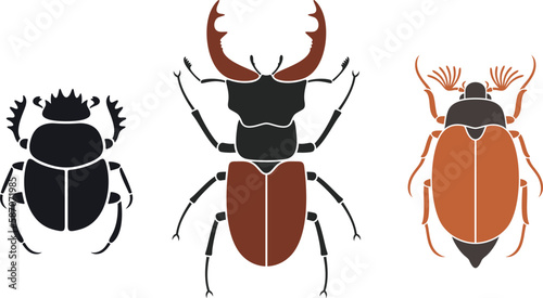 Beetle deer. Hercules beetle photo