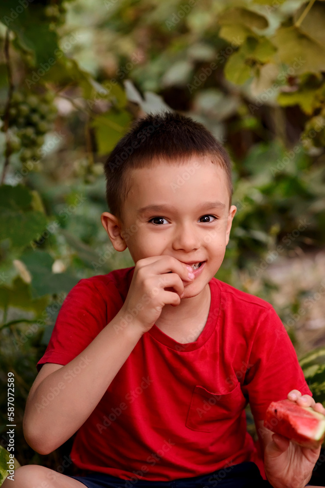 Happily smiling child in red shirt eating watermelon outdoors on summer picnic. Green leaves in background Happily smiling child in red shirt eating watermelon outdoors on summer picnic. Green leaves in background