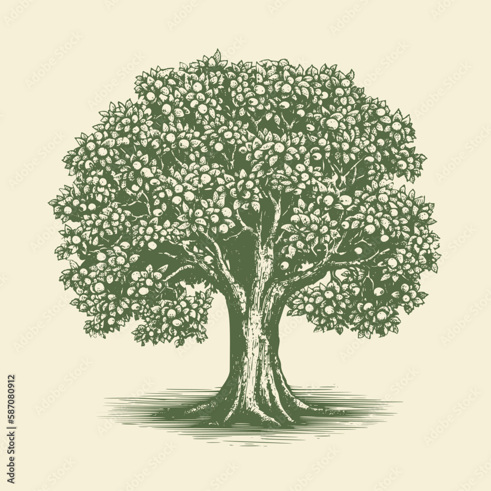 Fruitful tree. Woodcut engraving style hand drawn vector illustration. Optimized vector.	