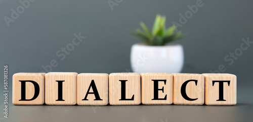 Valokuva DIALECT - word on wooden cubes on a gray background with a cactus