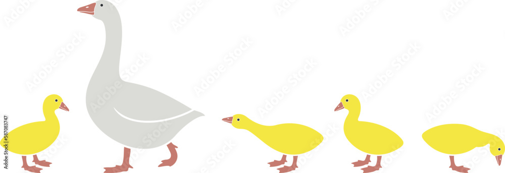 Obraz premium Gosling logo. Isolated gosling on white background. Bird